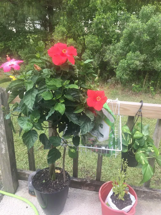 Laiken Estates Picture 2