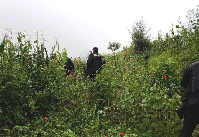 Rosewood Mobile Home Park Picture 6