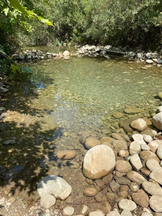 Foster Red Mountain Campground Picture 8
