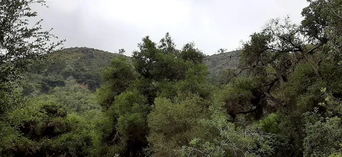 Foster Red Mountain Campground Picture 9