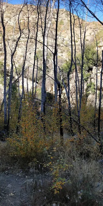 Middle Matilija Campground Picture 2