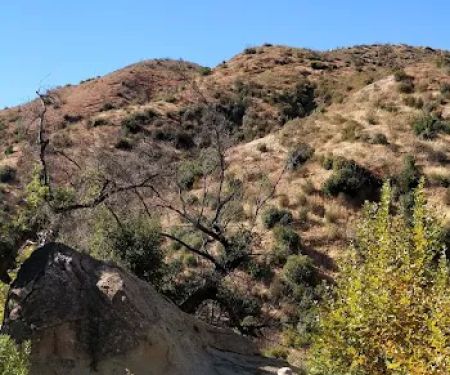 Middle Matilija Campground