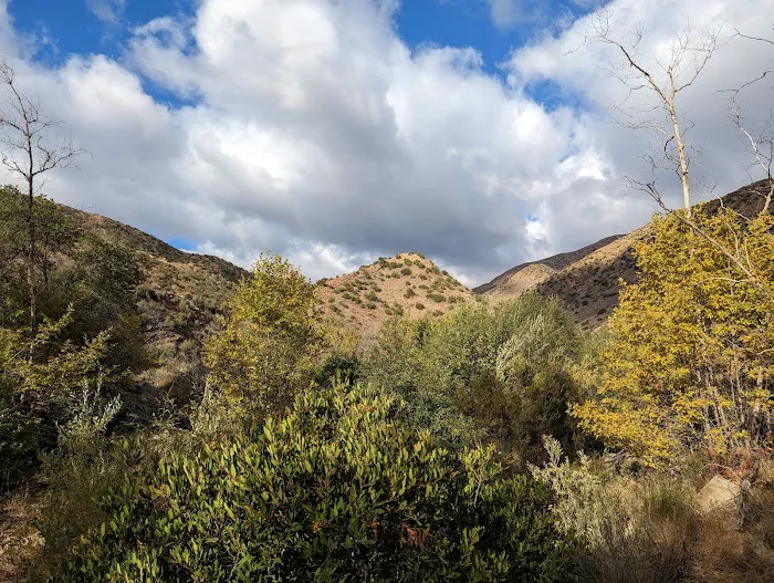 Middle Matilija Campground Picture 3