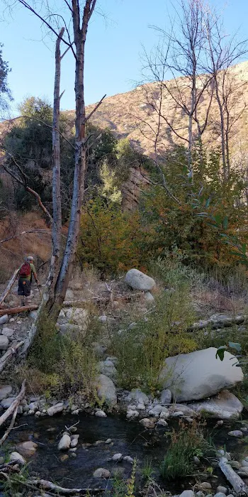 Middle Matilija Campground Picture 8