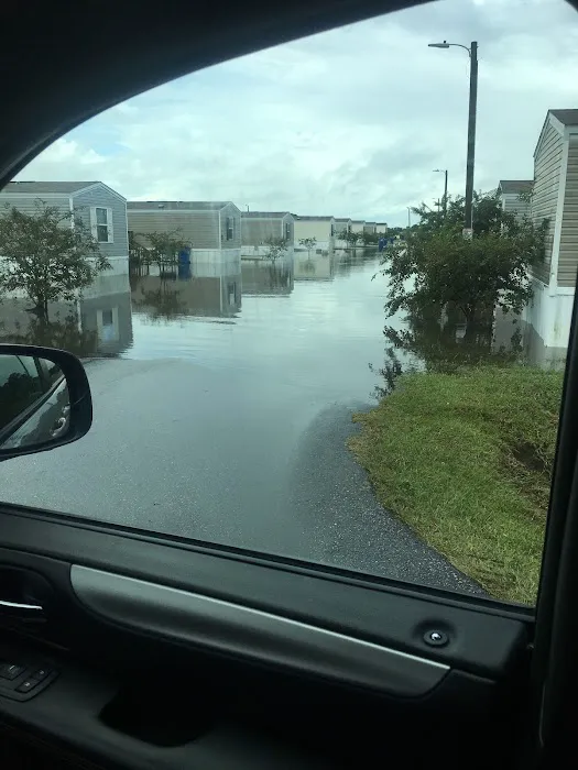 Cadillac Ranch Picture 1