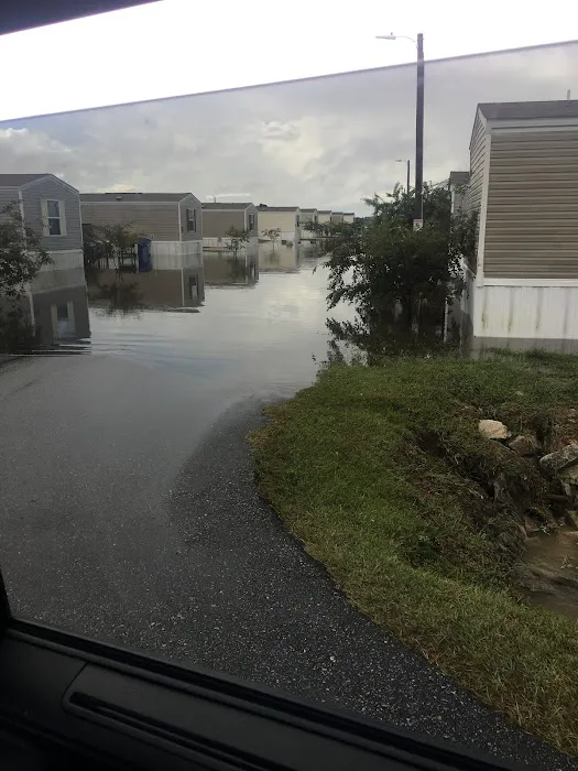 Cadillac Ranch Picture 3