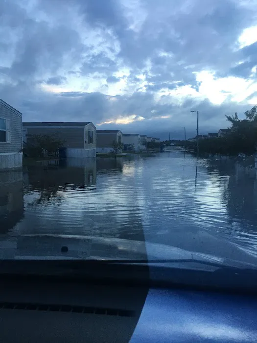 Cadillac Ranch Picture 2
