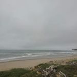 Emma Wood Group Camp