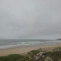 Emma Wood Group Camp ico