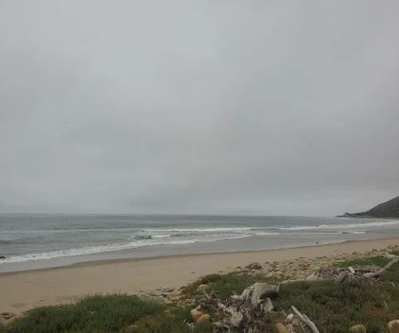 Emma Wood Group Camp