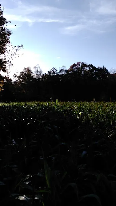 Kingsberry Mobile Home Park Picture 1