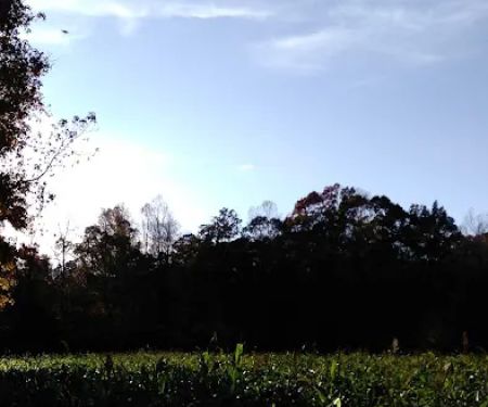 Kingsberry Mobile Home Park