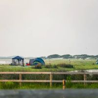 Cedar Island Ranch ico