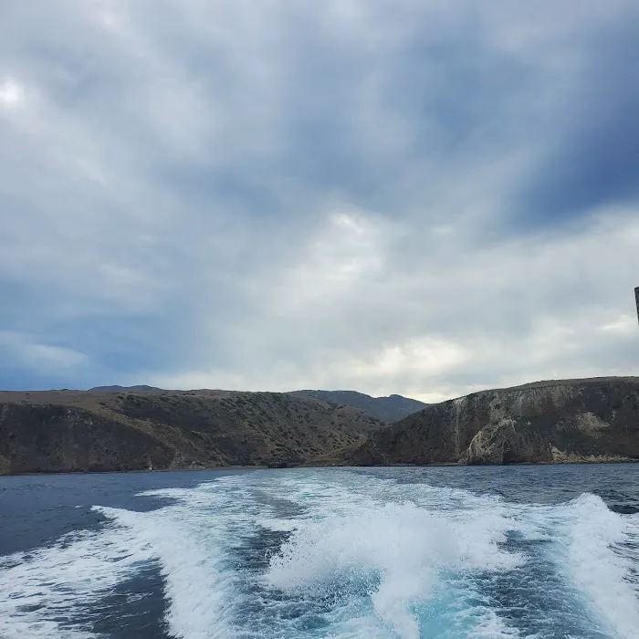 Santa Cruz Island Scorpion Canyon Campground Picture 4