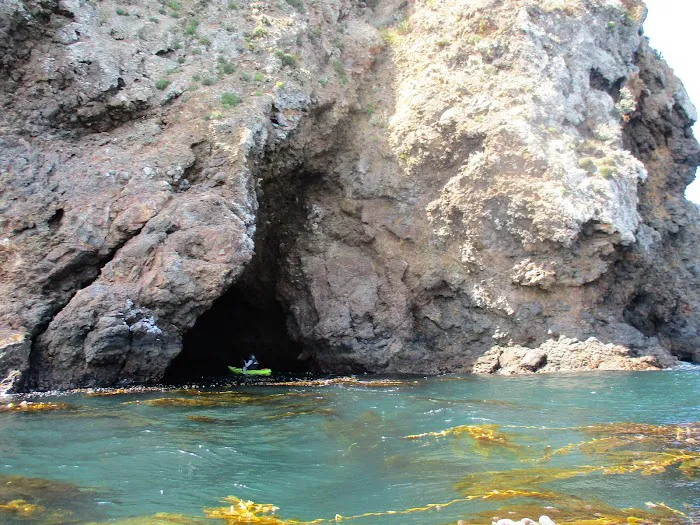 Santa Cruz Island Scorpion Canyon Campground Picture 8