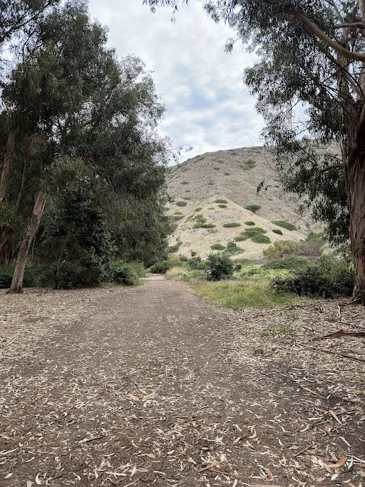 Upper Scorpion Campground Picture 4
