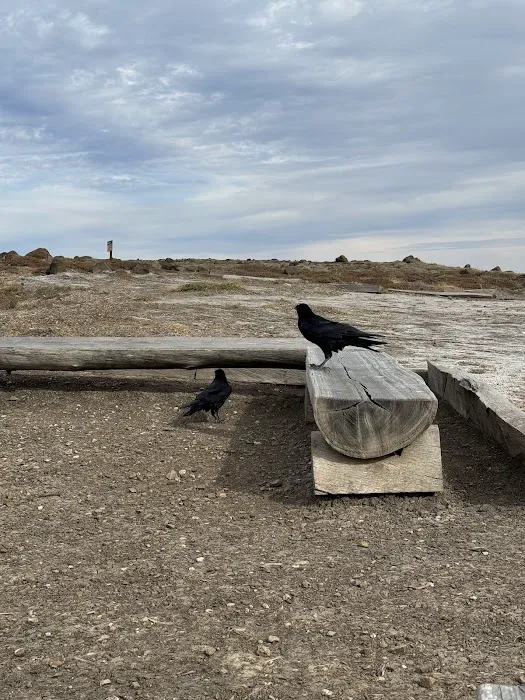 Upper Scorpion Campground Picture 7