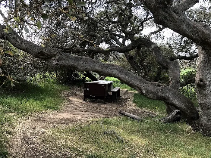 Santa Cruz Island Del Norte Backcountry Campground Picture 7
