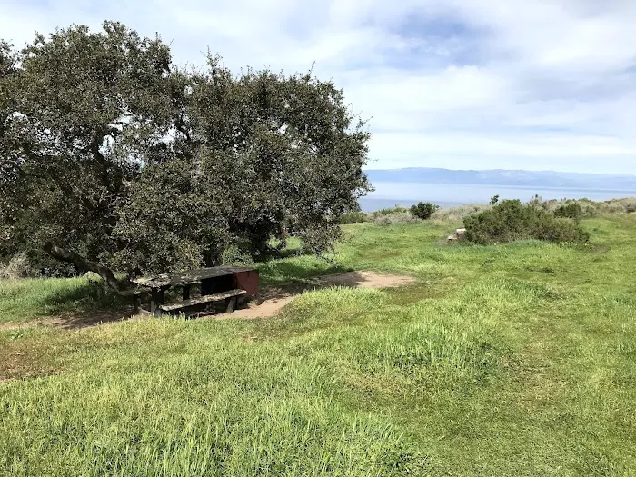 Santa Cruz Island Del Norte Backcountry Campground Picture 10