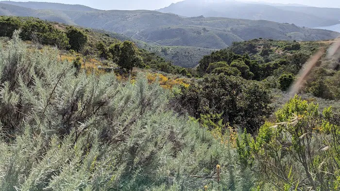 Santa Cruz Island Del Norte Backcountry Campground Picture 5
