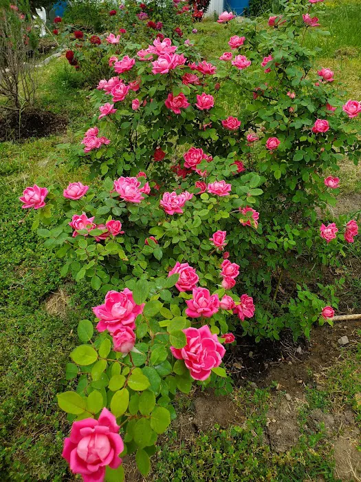 Huntington Park Investors LLC Picture 3