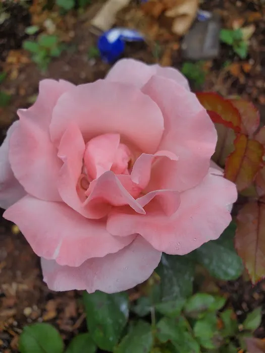 Huntington Park Investors LLC Picture 1