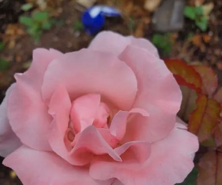 Huntington Park Investors LLC