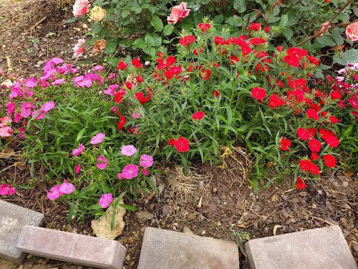 Huntington Park Investors LLC Picture 4