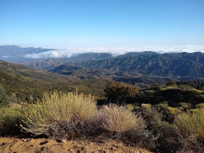 Reyes Peak Campground Picture 9