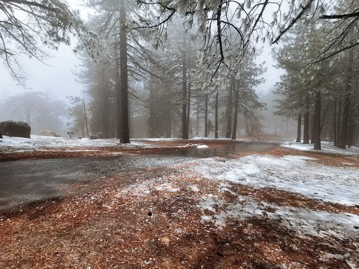 Reyes Peak Campground Picture 10