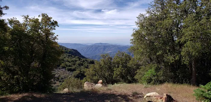 Reyes Peak Campground Picture 1
