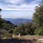 Reyes Peak Campground