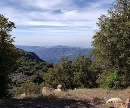 Reyes Peak Campground