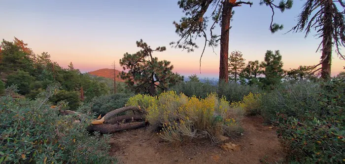 Reyes Peak Campground Picture 4