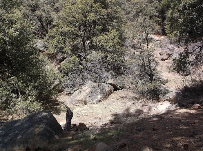 Chorro Springs Campground Picture 5