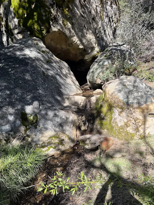 Chorro Springs Campground Picture 9