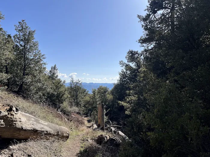 Chorro Springs Campground Picture 1