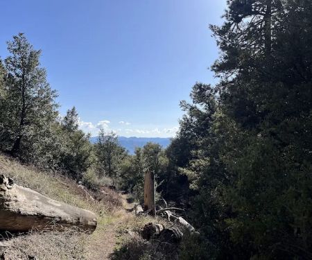 Chorro Springs Campground