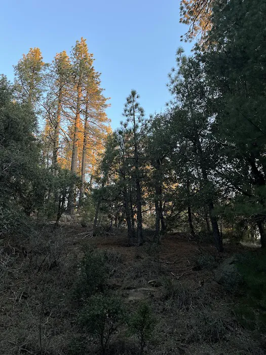 Chorro Springs Campground Picture 10