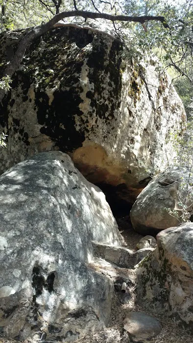 Chorro Springs Campground Picture 6