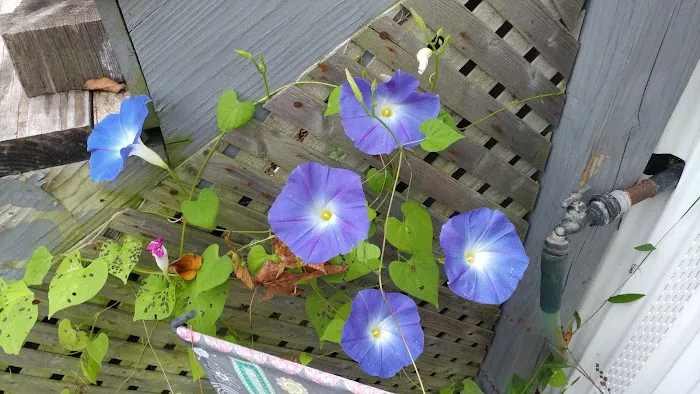 Crown Mobile Home Park Inc Picture 7