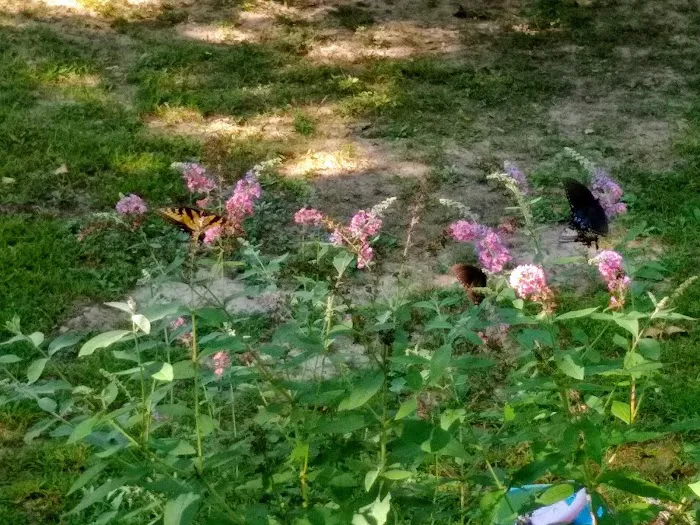 Crown Mobile Home Park Inc Picture 3