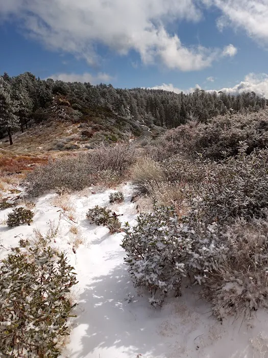 Pine Mountain Campground Picture 7