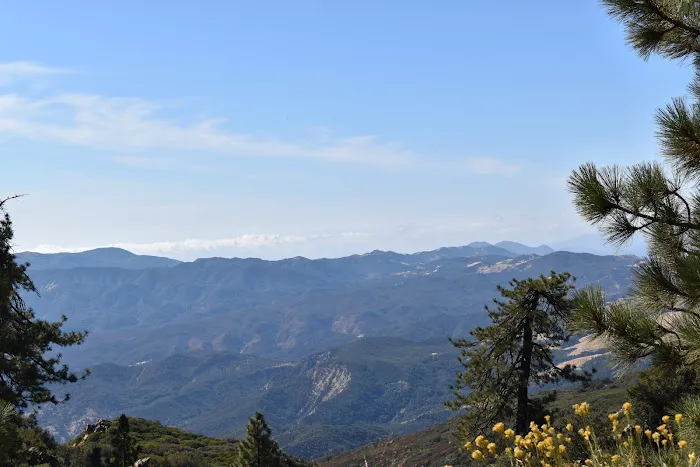 Pine Mountain Campground Picture 9