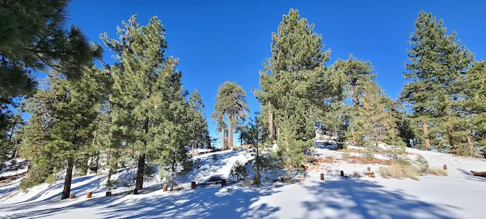 Pine Mountain Campground Picture 5