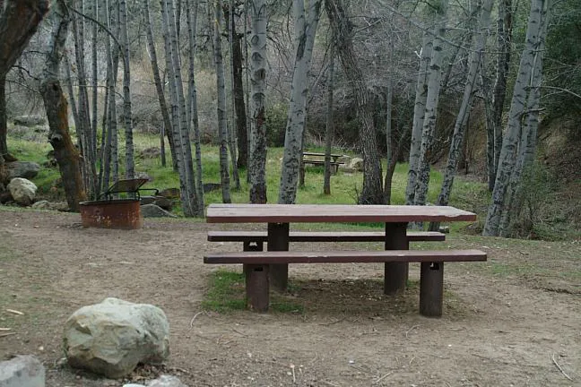 Reyes Creek Campground Picture 2