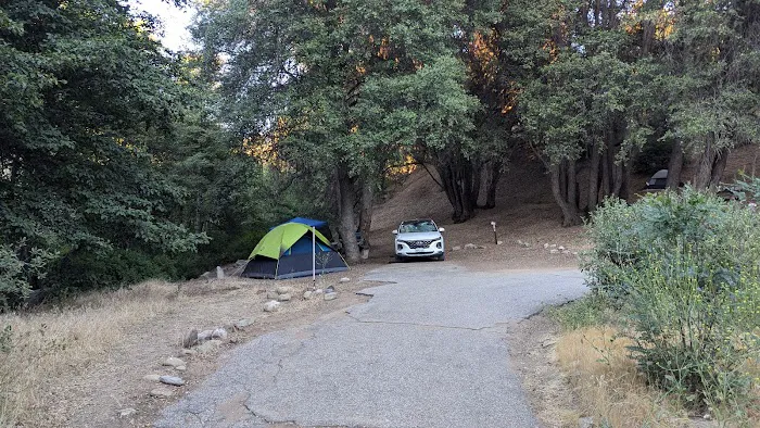 Reyes Creek Campground Picture 10
