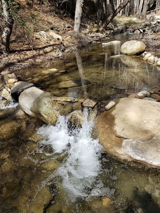 Reyes Creek Campground Picture 7