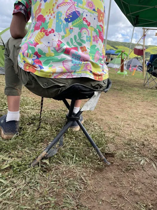 Lakeview Park Camping Area Picture 1