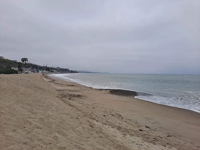 Doheny State Beach Campground Picture 2